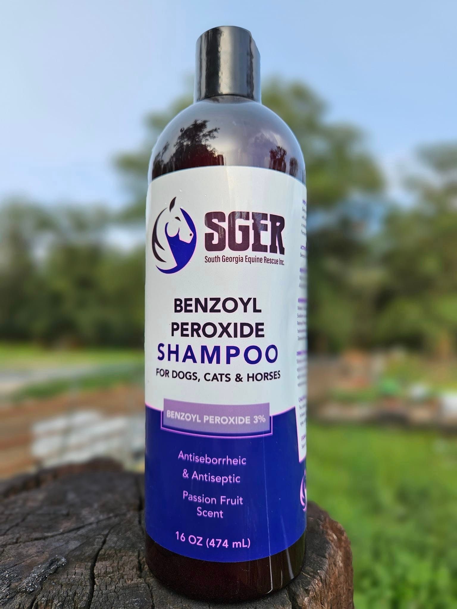 Benzoyl plus shampoo for sales dogs